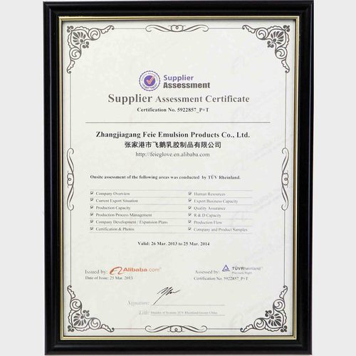 Supplier assessment certificate00